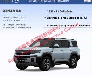 DENZA B5 B8 EPC Spare Parts Catalogue