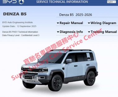 DENZA B5 Workshop Service Repair Manual Wiring Diagram