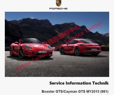 Porsche Boxster Cayman 981 Technical Training Technik Introduction Service Information